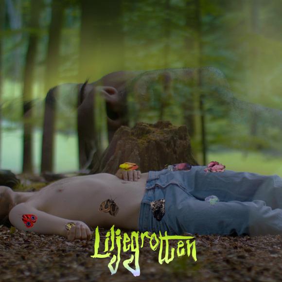 Kim Richard Adler Mejdahl, Liljegrotten, albumcover